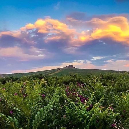 Haytor Court, Haytor, Dartmoor Daire Dış mekan fotoğraf