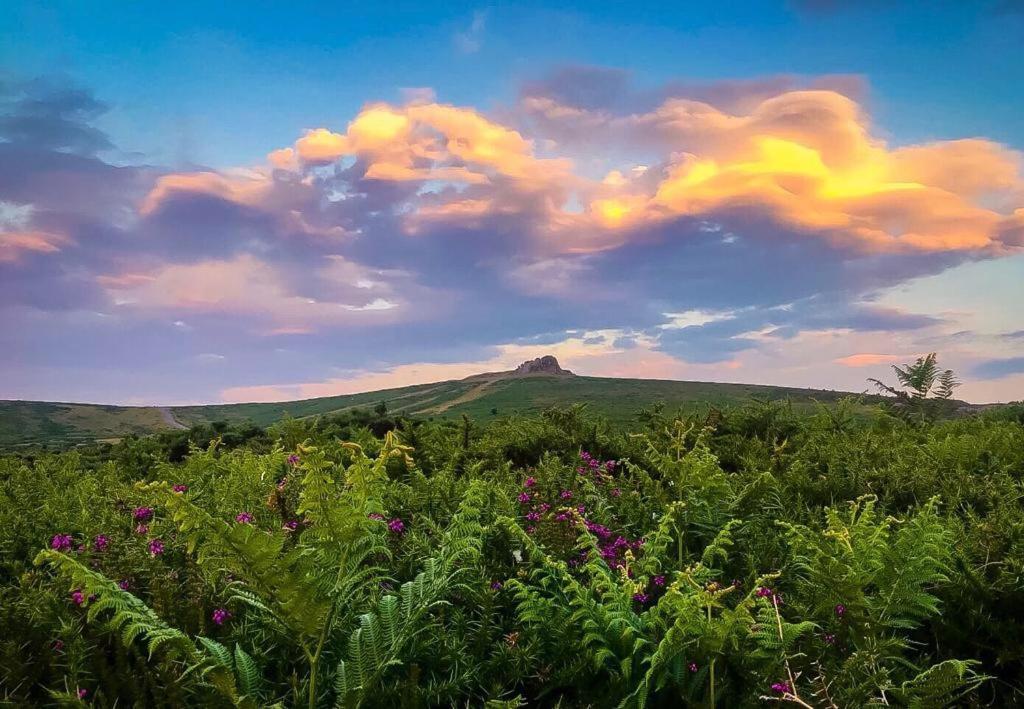 Haytor Court, Haytor, Dartmoor Daire Dış mekan fotoğraf