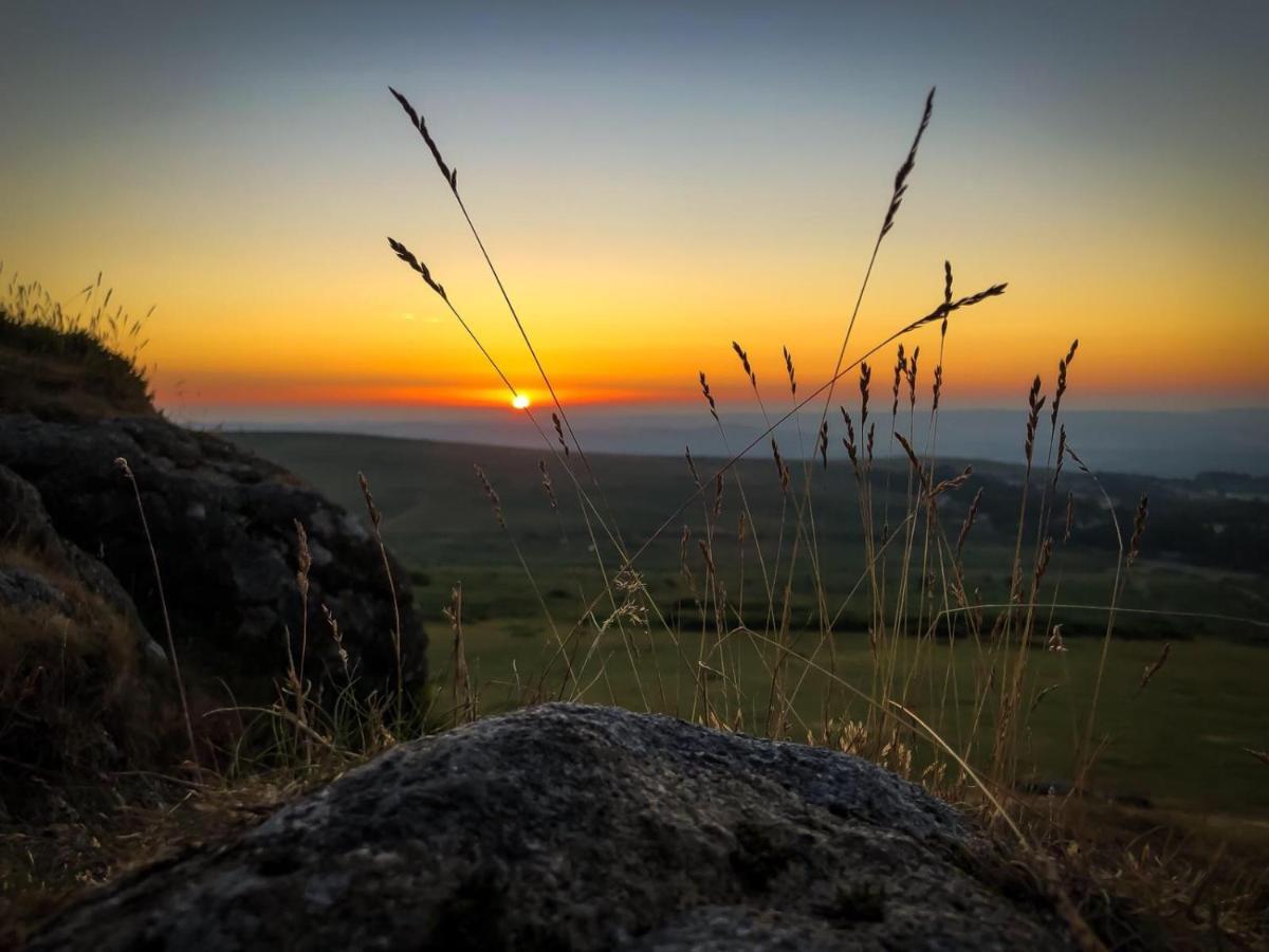 Haytor Court, Haytor, Dartmoor Daire Dış mekan fotoğraf