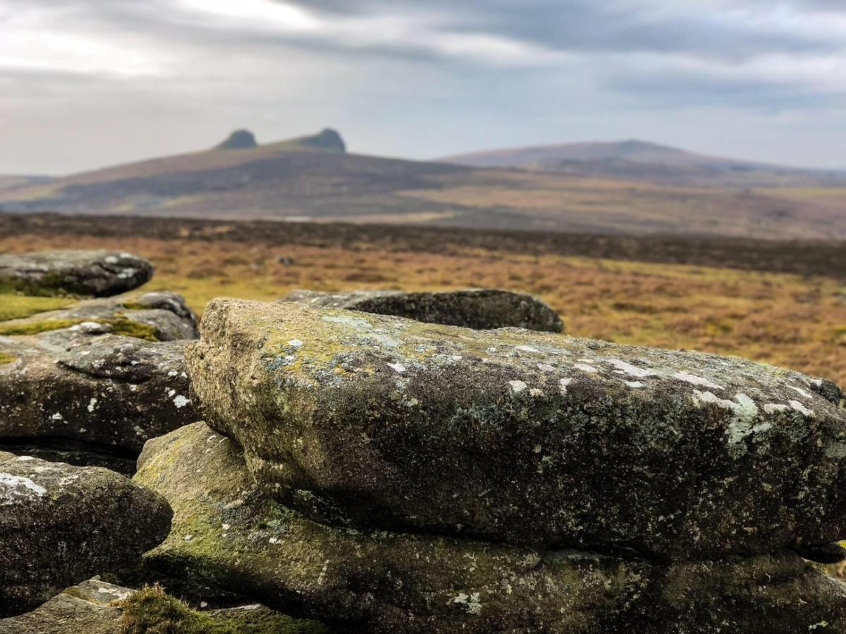 Haytor Court, Haytor, Dartmoor Daire Dış mekan fotoğraf