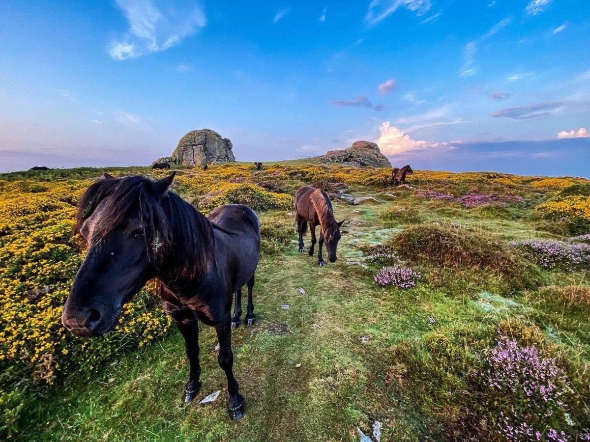 Haytor Court, Haytor, Dartmoor Daire Dış mekan fotoğraf