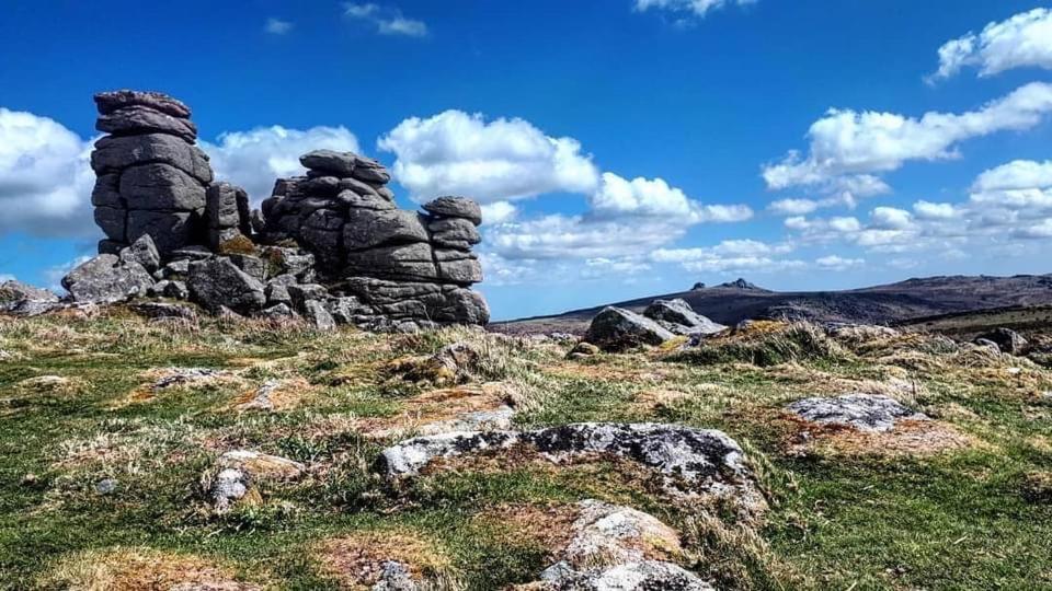 Haytor Court, Haytor, Dartmoor Daire Dış mekan fotoğraf